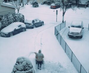 freeze-thaw damage
